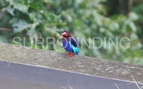 Rumah Lereng Bandung